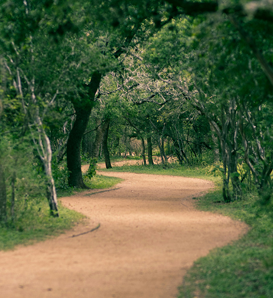 Estate planning san antonio estate planning san antonio